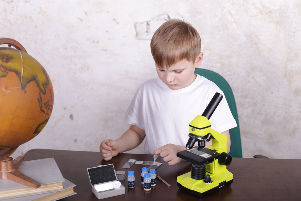 Mikroskop Levenhuk Rainbow 2L PLUS 17 Mikroskop Levenhuk Rainbow 2L PLUS -