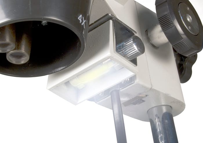 Mikroskop Levenhuk 3ST 8 Mikroskop Levenhuk 3ST -