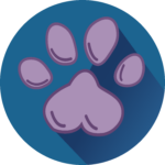 Pakiet języka angielskiego - całość (100 gier) -