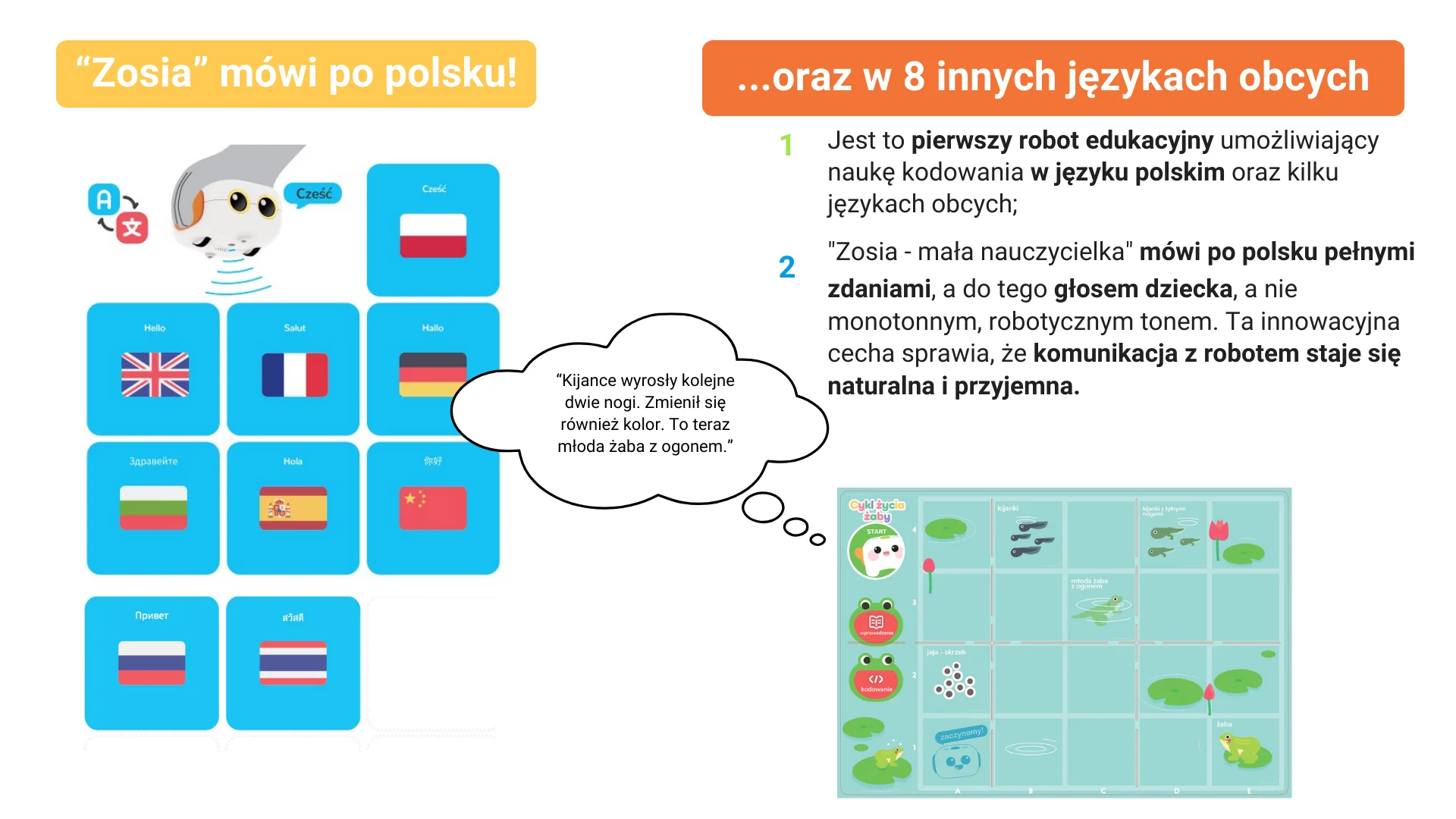 Zosia Mała Nauczycielka - zestaw 10 Zosia Mała Nauczycielka - zestaw -