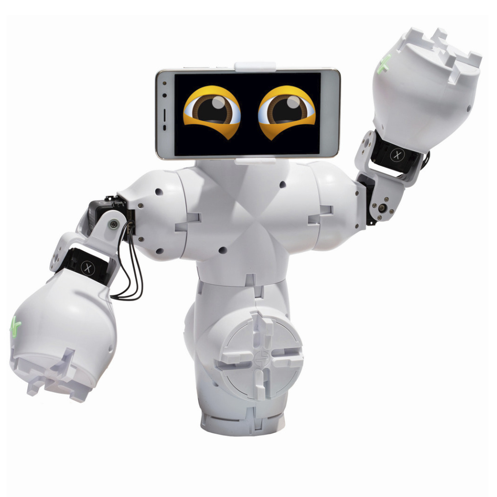 Kodowanie i robotyka - 1 x Fable Go + 1 x Fable Explore + 1 x Newline LYRA 6523QAS 65" zestaw z42 -