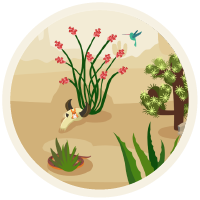 Cyber Fox | Multimedialna edukacja w przedszkolu -