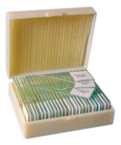 Komórki i tkanki zwierzęce - preparaty - 25 sztuk