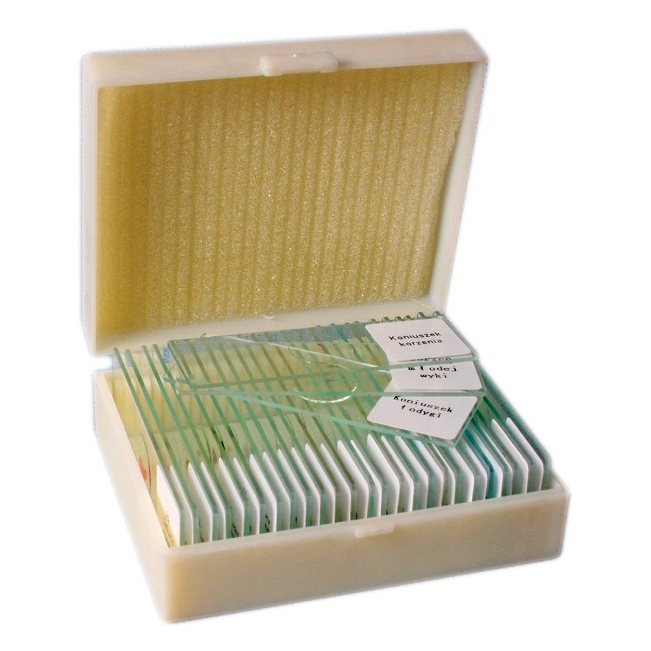 Komórki i tkanki zwierzęce - preparaty - 25 sztuk 3 Komórki i tkanki zwierzęce - preparaty - 25 sztuk -