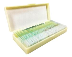 Zestaw preparatów biologicznych 50 szt. - Ekopracownia