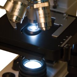 72350_bresser-microscope-erudit-dlx-40-1000x_13 Stolik i obiektywy mikroskopu świetlnego z widocznym oświetleniem próbki.