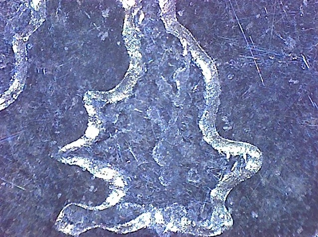 Omegon DigitalView Mikroskop ręczny USB 7 Omegon DigitalView Mikroskop ręczny USB -