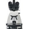 Trójokularowy mikroskop cyfrowy Levenhuk MED D40T -