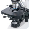 Dwuokularowy mikroskop Levenhuk 400B 18 Dwuokularowy mikroskop Levenhuk 400B -