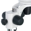 Dwuokularowy mikroskop Levenhuk 4ST 19 Dwuokularowy mikroskop Levenhuk 4ST -