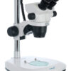 Dwuokularowy mikroskop Levenhuk ZOOM 1B 14 Dwuokularowy mikroskop Levenhuk ZOOM 1B -
