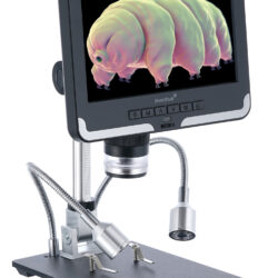 Mikroskop cyfrowy Levenhuk z wyświetlaczem LCD prezentującym obraz niesporczaka.
