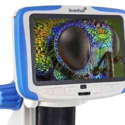Cyfrowy mikroskop Levenhuk z ekranem LCD wyświetlającym powiększony obraz głowy owada.