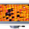Mikroskop cyfrowy Levenhuk D95L LCD 19 Mikroskop cyfrowy Levenhuk D95L LCD -