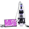 Mikroskop biologiczny cyfrowy MAGUS Bio D250T LCD -