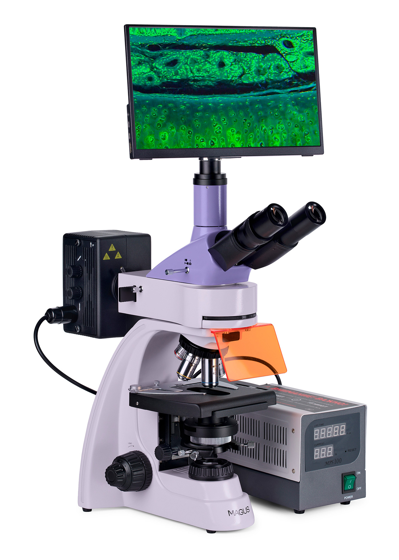 Mikroskop fluorescencyjny cyfrowy MAGUS Lum D400 LCD 5 Mikroskop fluorescencyjny cyfrowy MAGUS Lum D400 LCD -