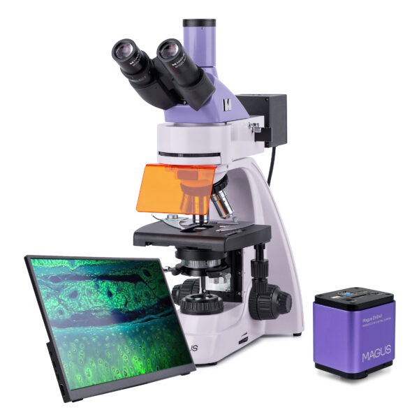 Mikroskop fluorescencyjny cyfrowy MAGUS Lum D400L LCD