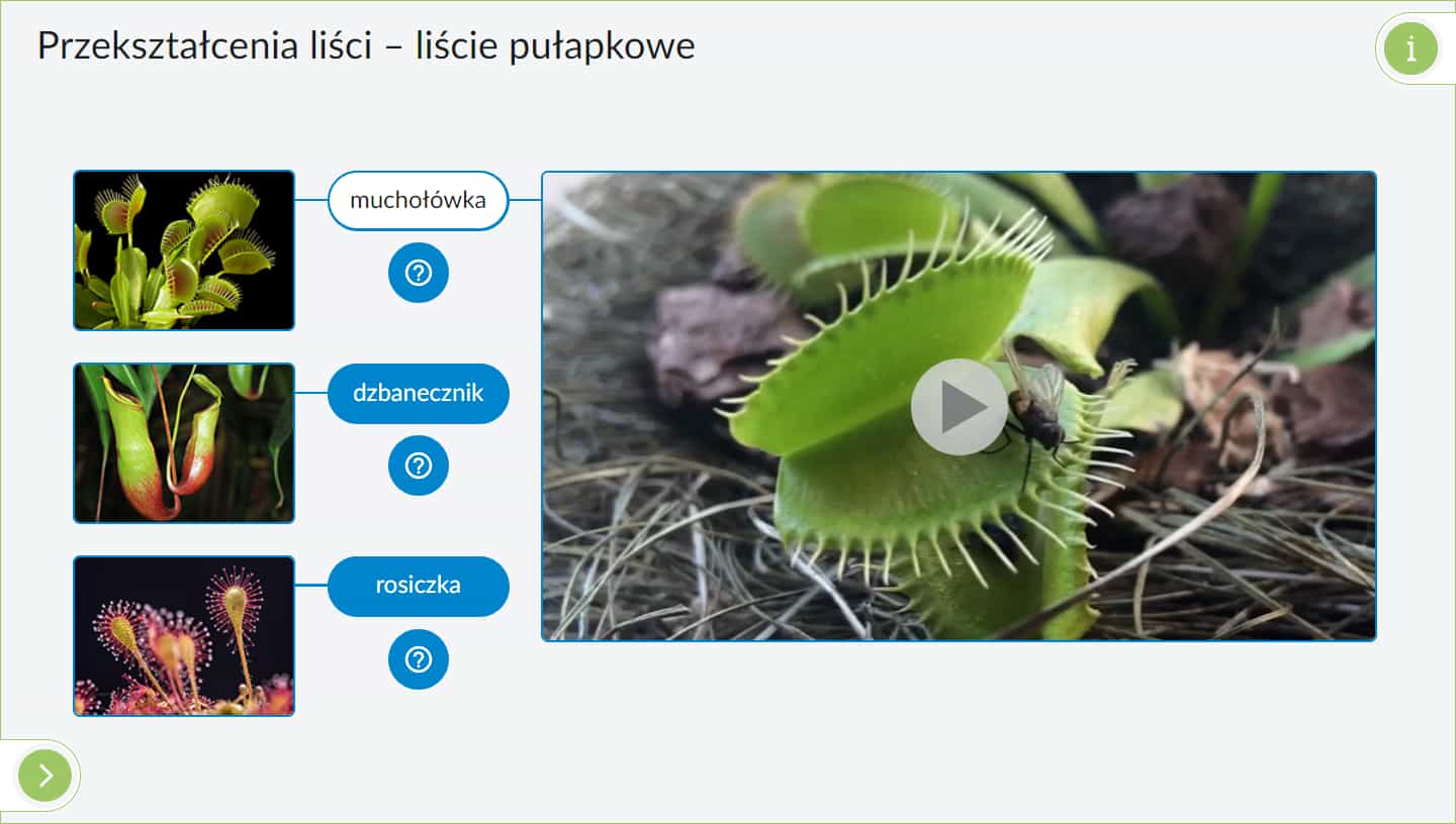 IPP: Interaktywne Plansze Przyrodnicze: Biologia 9 IPP: Interaktywne Plansze Przyrodnicze: Biologia -