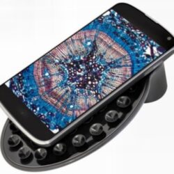 Smartfon z obrazem mikroskopowym tkanek roślinnych na ekranie przymocowany przyssawkami do uchwytu.