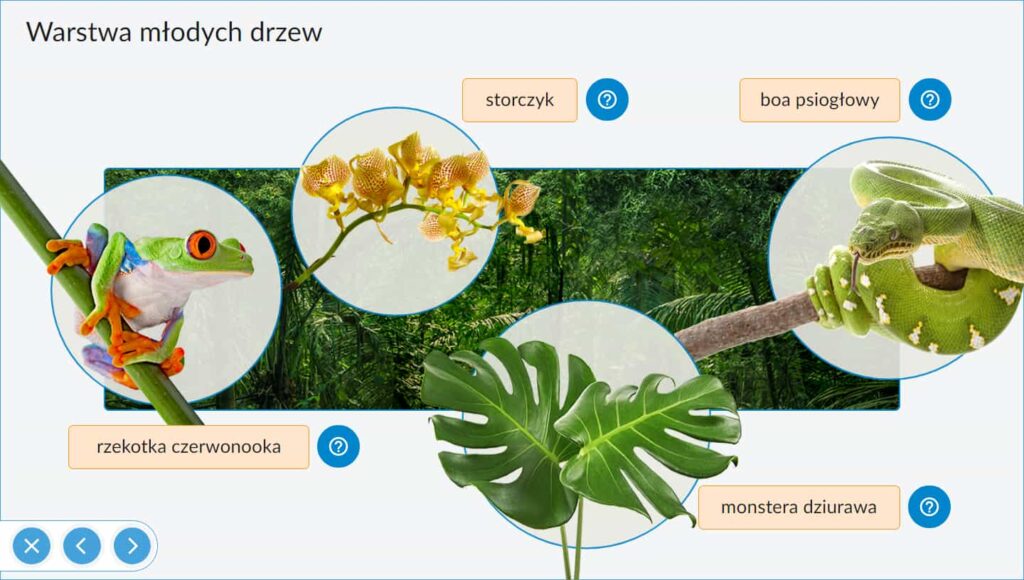 IPP: Interaktywne Plansze Przyrodnicze: Geografia -