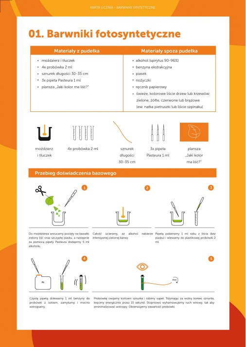 Energia - karta ucznia - barwniki fotosyntetyczne