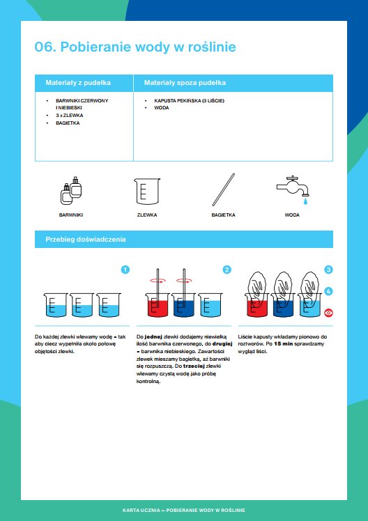 Pobieranie wody w roślinie - karta ucznia