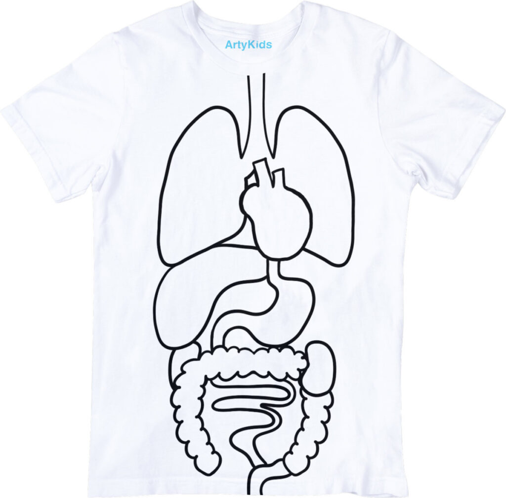 ArtyKids: Koszulki MyBody -