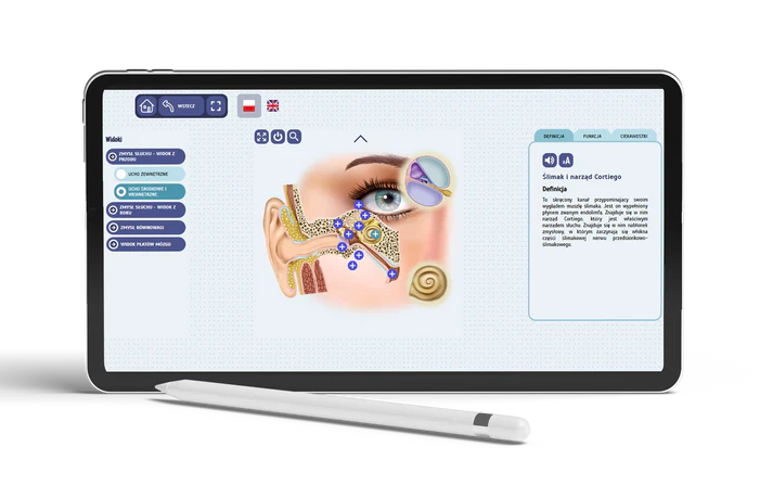 Science-Lab. Fascynująca anatomia człowieka. Słuch i Równowaga -
