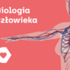 Corinth - Biologia Człowieka