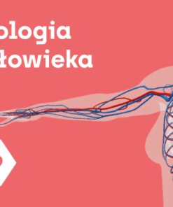 Corinth - Biologia Człowieka