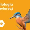 Biologia Zwierzat - Corinth