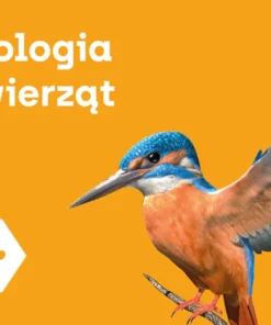 Biologia Zwierzat - Corinth