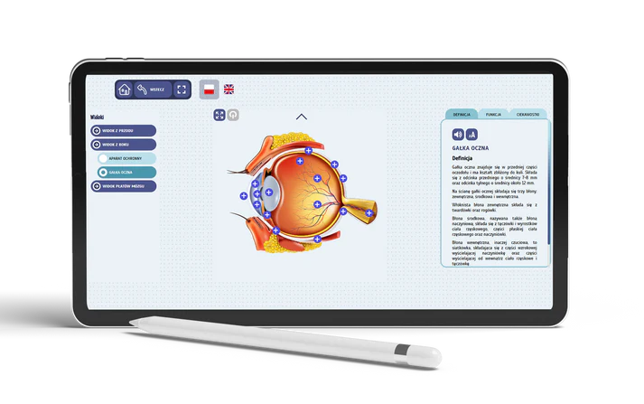 Science-Lab. Fascynująca anatomia człowieka. Wzrok -