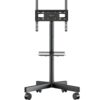 Mobilny stojak TV dla 26"-55" maks 35 kg, pochyły, czarny TS1131 -