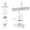 Mobilny stojak dla dwóch TV 40"-65" maks 46 kg, biały TS1881DV 17 Mobilny stojak dla dwóch TV 40"-65" maks 46 kg, biały TS1881DV -