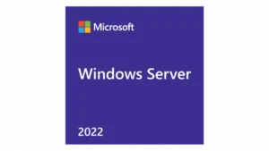 Windows Server 2022 - 1 Device CAL EDU