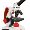 Mikroskop Levenhuk Discovery Pico 24 Mikroskop Levenhuk Discovery Pico -