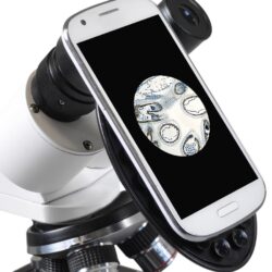 73761_bresser-microscope-erudit-basic-40-400x_13 Smartfon zamocowany do okularu mikroskopu wyświetlający obraz preparatu biologicznego.