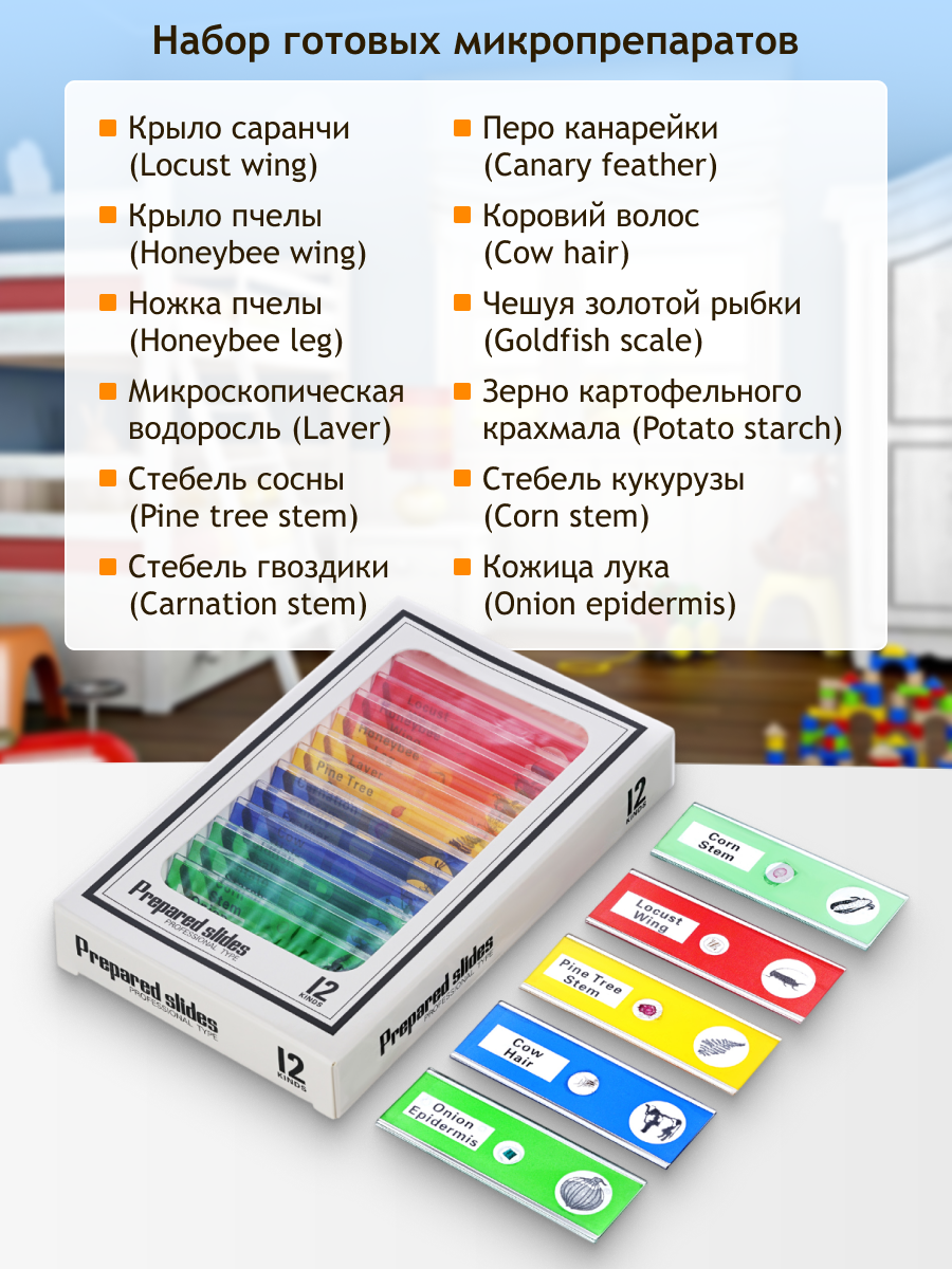 Mikroskop cyfrowy Levenhuk LabZZ DM200 LCD 24 Mikroskop cyfrowy Levenhuk LabZZ DM200 LCD -
