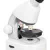 Mikroskop Levenhuk Discovery Micro z książką -