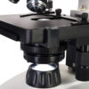 Mikroskop Levenhuk Discovery Atto Polar z książką 29 Mikroskop Levenhuk Discovery Atto Polar z książką -