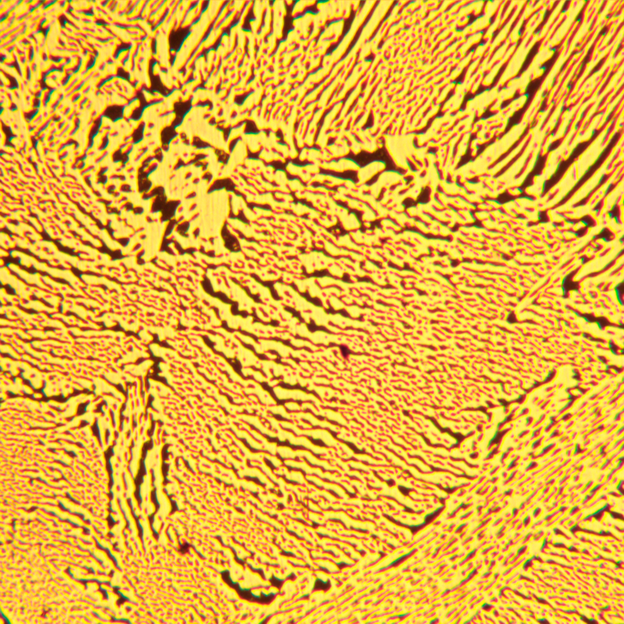 Mikroskop metalurgiczny MAGUS Metal 600 25 Mikroskop metalurgiczny MAGUS Metal 600 -