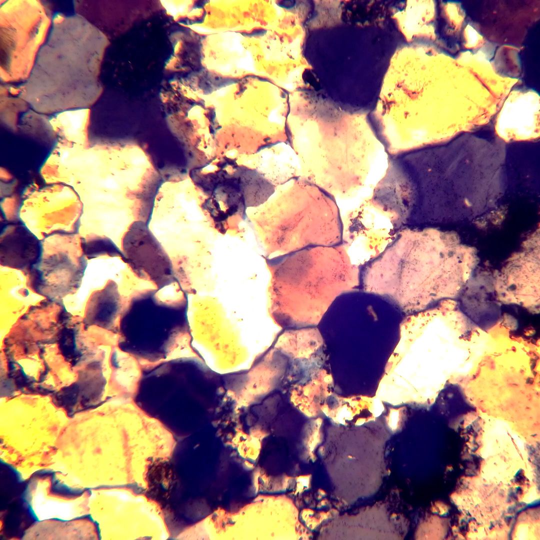 Mikroskop polaryzacyjny MAGUS Pol 800 20 Mikroskop polaryzacyjny MAGUS Pol 800 -