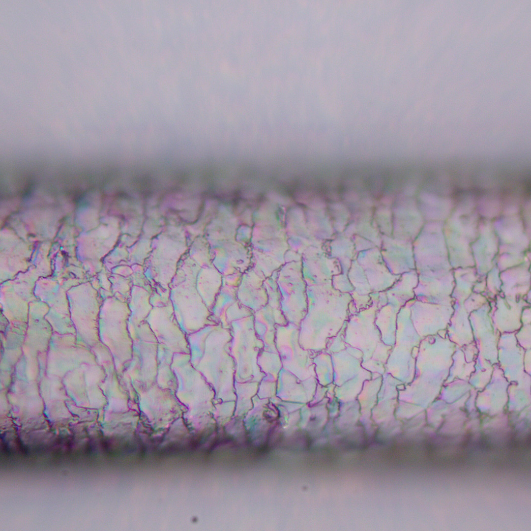 Mikroskop polaryzacyjny MAGUS Pol 800 21 Mikroskop polaryzacyjny MAGUS Pol 800 -