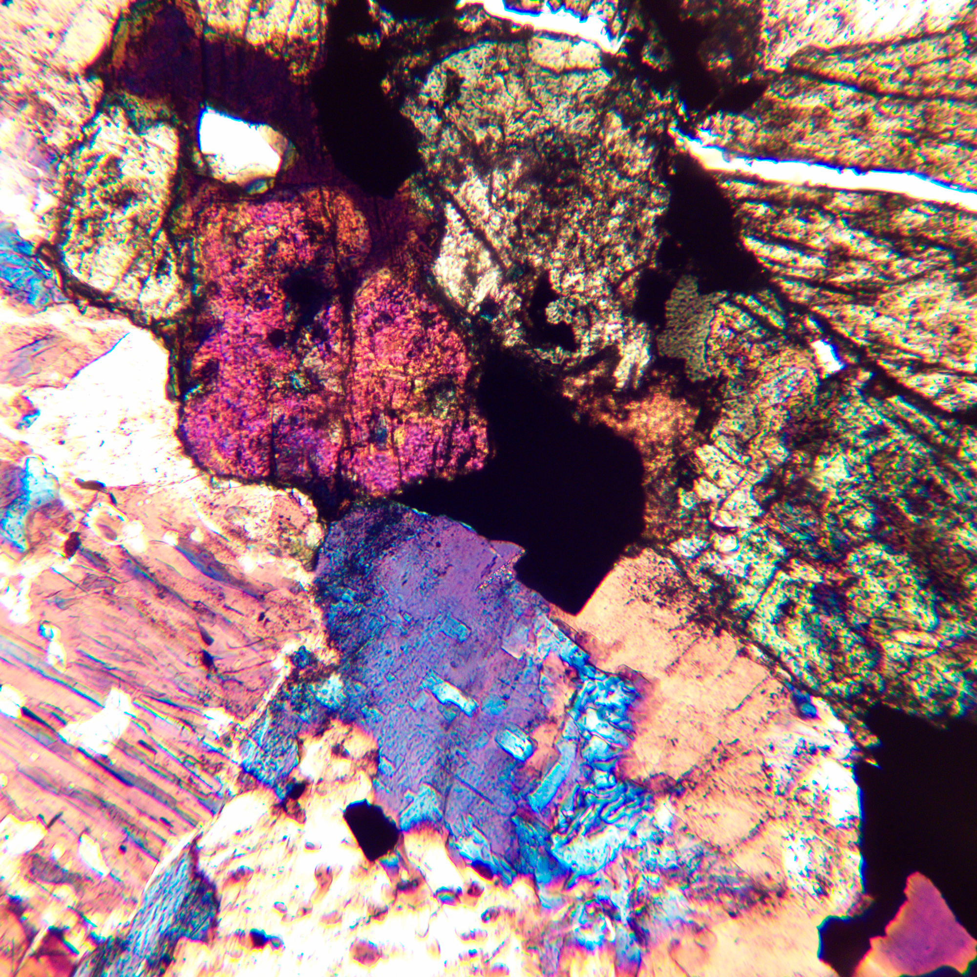 Mikroskop polaryzacyjny MAGUS Pol 850 22 Mikroskop polaryzacyjny MAGUS Pol 850 -