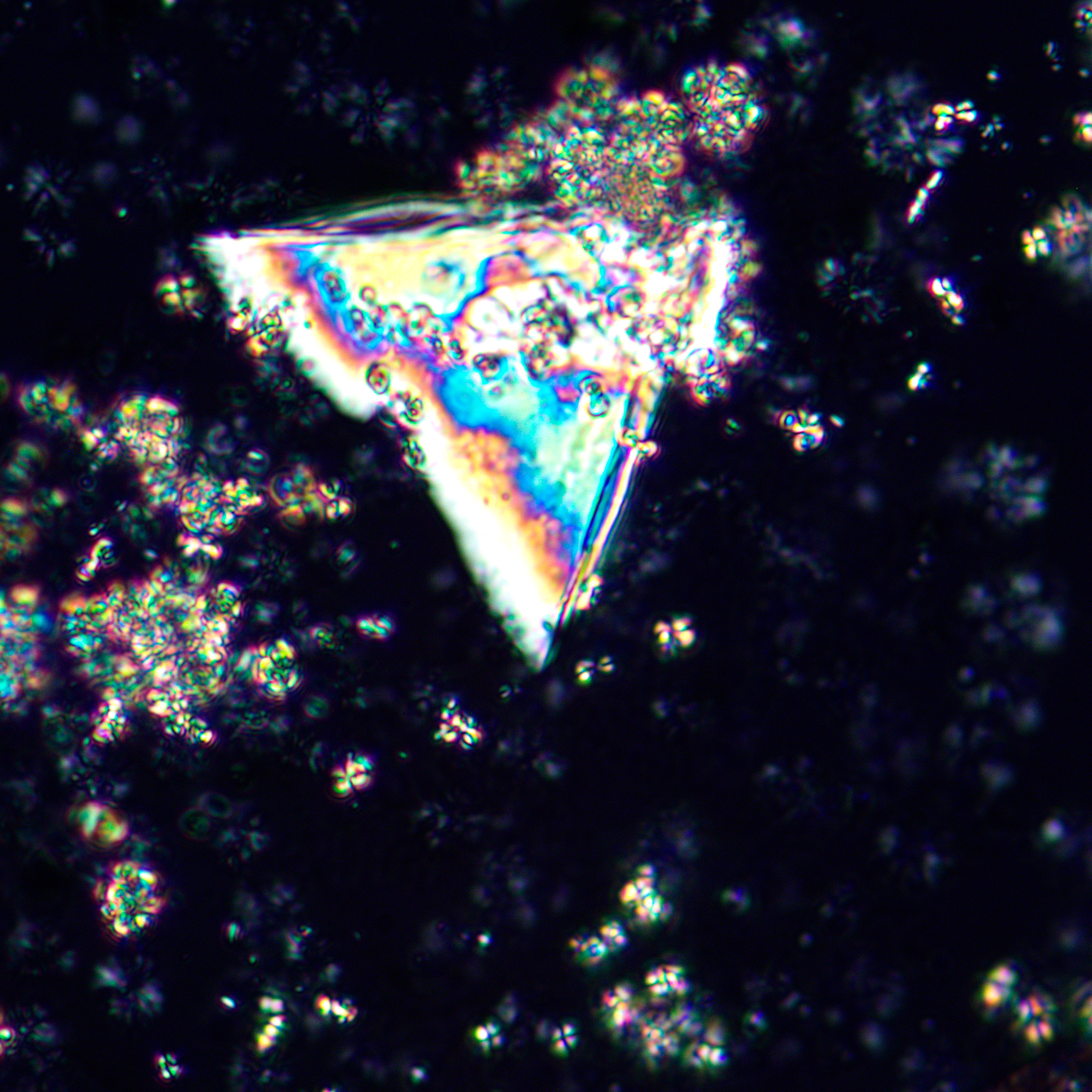 Mikroskop polaryzacyjny MAGUS Pol 850 23 Mikroskop polaryzacyjny MAGUS Pol 850 -