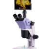 Mikroskop stereoskopowy cyfrowy MAGUS Stereo D9T LCD -