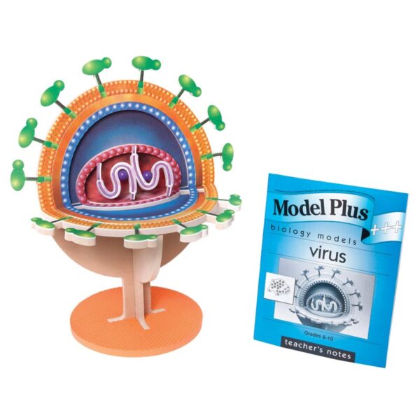 Model wirusa do nauki biologii wraz z broszurą edukacyjną Model Plus.
