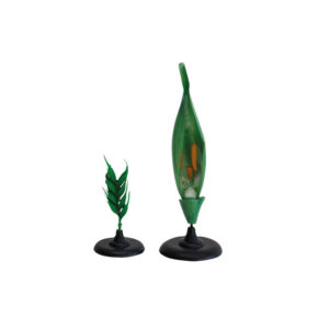 Model kwiatu pszenicy (2 elementy) - Pracownie przyrodnicze