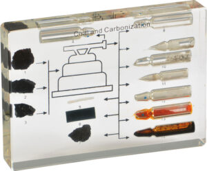 Węgiel i produkty jego przerobu - 14 próbek w akrylu - Educarium